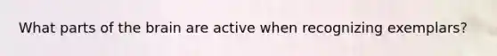 What parts of the brain are active when recognizing exemplars?