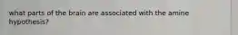 what parts of the brain are associated with the amine hypothesis?
