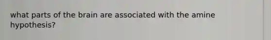 what parts of <a href='https://www.questionai.com/knowledge/kLMtJeqKp6-the-brain' class='anchor-knowledge'>the brain</a> are associated with the amine hypothesis?