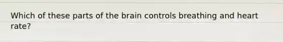 Which of these parts of the brain controls breathing and heart rate?