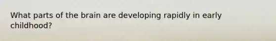 What parts of the brain are developing rapidly in early childhood?