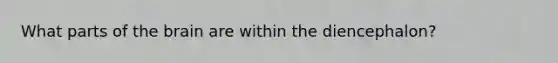 What parts of the brain are within the diencephalon?