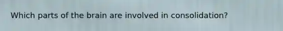 Which parts of the brain are involved in consolidation?