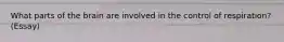 What parts of the brain are involved in the control of respiration? (Essay)