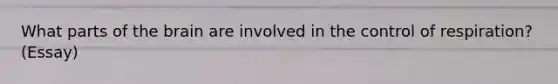 What parts of the brain are involved in the control of respiration? (Essay)