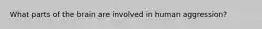 What parts of the brain are involved in human aggression?
