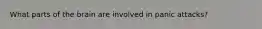 What parts of the brain are involved in panic attacks?