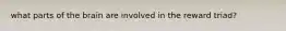 what parts of the brain are involved in the reward triad?