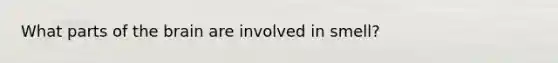 What parts of the brain are involved in smell?