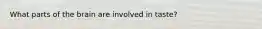 What parts of the brain are involved in taste?
