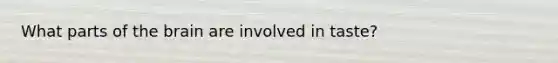What parts of the brain are involved in taste?