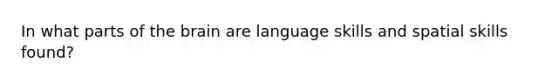 In what parts of the brain are language skills and spatial skills found?