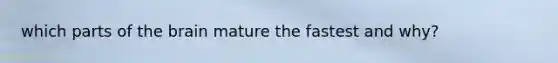 which parts of the brain mature the fastest and why?