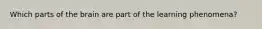 Which parts of the brain are part of the learning phenomena?