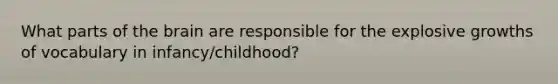 What parts of the brain are responsible for the explosive growths of vocabulary in infancy/childhood?