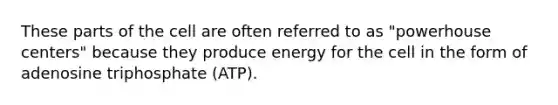 These parts of the cell are often referred to as "powerhouse centers" because they produce energy for the cell in the form of adenosine triphosphate (ATP).