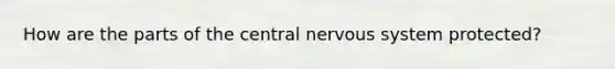 How are the parts of the central nervous system protected?