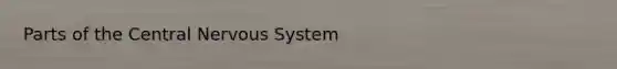 Parts of the Central <a href='https://www.questionai.com/knowledge/kThdVqrsqy-nervous-system' class='anchor-knowledge'>nervous system</a>