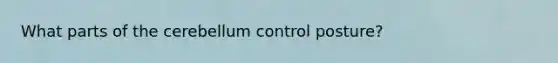 What parts of the cerebellum control posture?