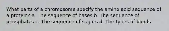 What parts of a chromosome specify the amino acid sequence of a protein? a. The sequence of bases b. The sequence of phosphates c. The sequence of sugars d. The types of bonds