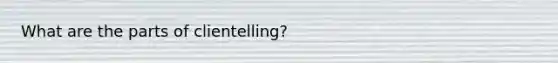 What are the parts of clientelling?