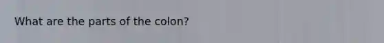 What are the parts of the colon?