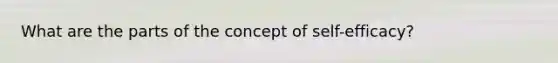 What are the parts of the concept of self-efficacy?