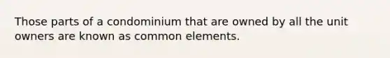 Those parts of a condominium that are owned by all the unit owners are known as common elements.