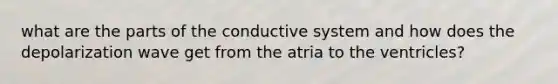 what are the parts of the conductive system and how does the depolarization wave get from the atria to the ventricles?