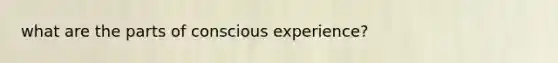what are the parts of conscious experience?