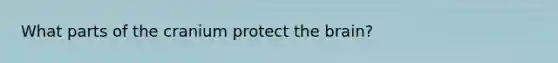 What parts of the cranium protect the brain?