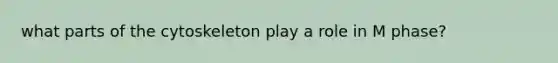 what parts of the cytoskeleton play a role in M phase?