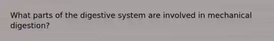 What parts of the digestive system are involved in mechanical digestion?