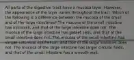 All parts of the digestive tract have a mucosa layer. However, the appearance of the layer varies throughout the tract. Which of the following is a difference between the mucosa of the small and of the large intestines? The mucosa of the small intestine has microvilli, and that of the large intestine does not. The mucosa of the large intestine has goblet cells, and that of the small intestine does not. The mucosa of the small intestine has simple columnar epithelium, and that of the large intestine does not. The mucosa of the large intestine has larger circular folds, and that of the small intestine has a smooth wall.