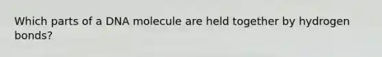 Which parts of a DNA molecule are held together by hydrogen bonds?