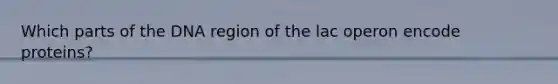 Which parts of the DNA region of the lac operon encode proteins?