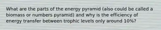 What are the parts of the energy pyramid (also could be called a biomass or numbers pyramid) and why is the efficiency of energy transfer between trophic levels only around 10%?