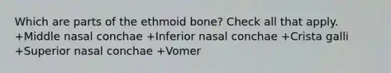 Which are parts of the ethmoid bone? Check all that apply. +Middle nasal conchae +Inferior nasal conchae +Crista galli +Superior nasal conchae +Vomer