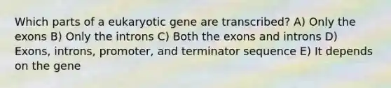 Which parts of a eukaryotic gene are transcribed? A) Only the exons B) Only the introns C) Both the exons and introns D) Exons, introns, promoter, and terminator sequence E) It depends on the gene