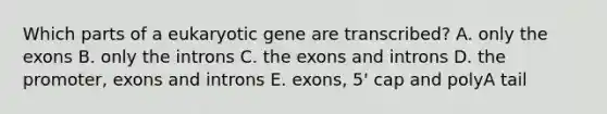 Which parts of a eukaryotic gene are transcribed? A. only the exons B. only the introns C. the exons and introns D. the promoter, exons and introns E. exons, 5' cap and polyA tail