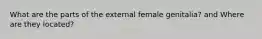 What are the parts of the external female genitalia? and Where are they located?