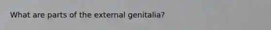 What are parts of the external genitalia?