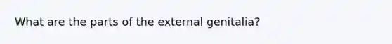 What are the parts of the external genitalia?