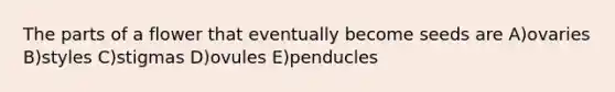 The parts of a flower that eventually become seeds are A)ovaries B)styles C)stigmas D)ovules E)penducles
