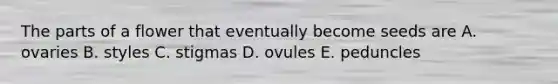 The parts of a flower that eventually become seeds are A. ovaries B. styles C. stigmas D. ovules E. peduncles