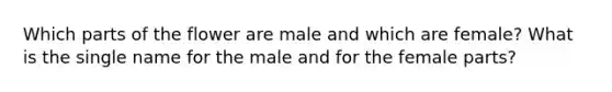 Which parts of the flower are male and which are female? What is the single name for the male and for the female parts?