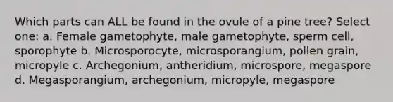 Which parts can ALL be found in the ovule of a pine tree? Select one: a. Female gametophyte, male gametophyte, sperm cell, sporophyte b. Microsporocyte, microsporangium, pollen grain, micropyle c. Archegonium, antheridium, microspore, megaspore d. Megasporangium, archegonium, micropyle, megaspore