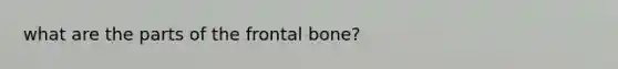 what are the parts of the frontal bone?