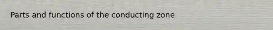 Parts and functions of the conducting zone