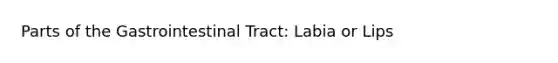 Parts of the Gastrointestinal Tract: Labia or Lips